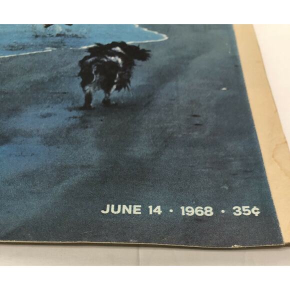 Life Magazine June 14, 1968 Back Issue Robert F. Kennedy Issue With Great Ads - Picture 3 of 10